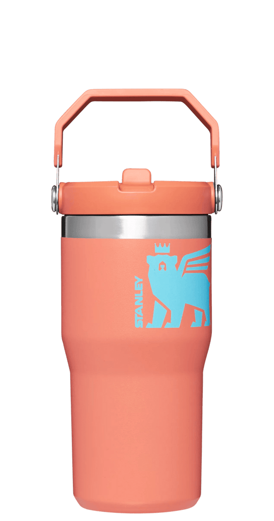 The Iceflow Flip Straw Tumbler 20 OZ