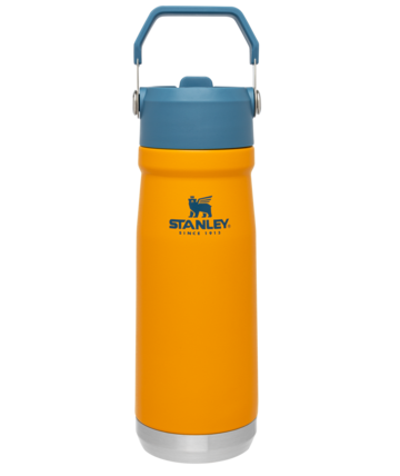 The Iceflow Flip Straw Water Bottle 22 OZ