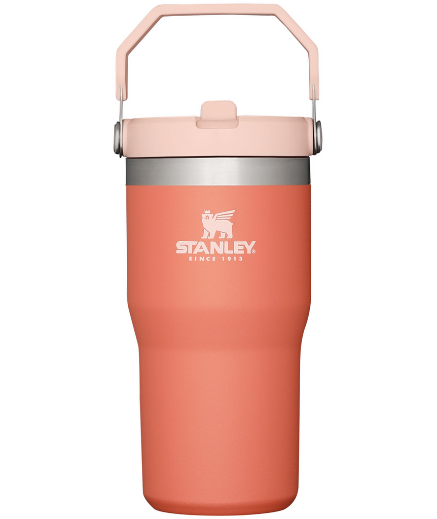 The Iceflow Flip Straw Tumbler 20 OZ