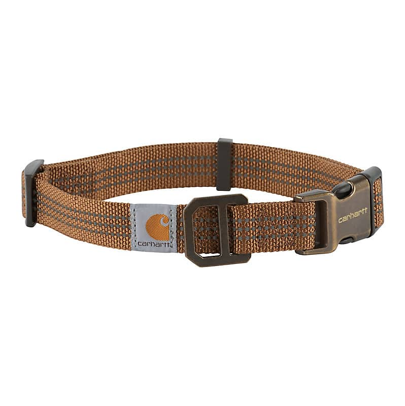 DOG COLLAR #P0000343