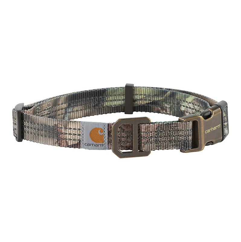 DOG COLLAR #P0000343