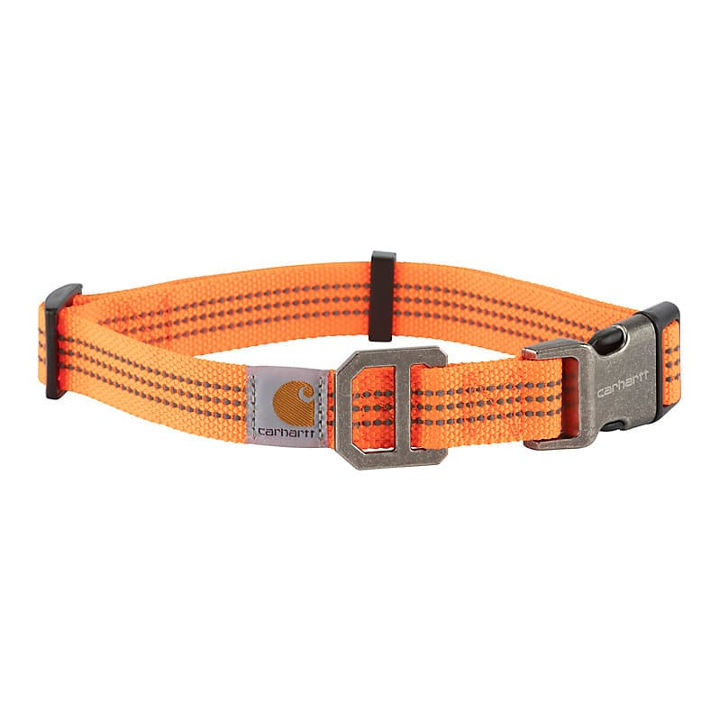 DOG COLLAR #P0000343