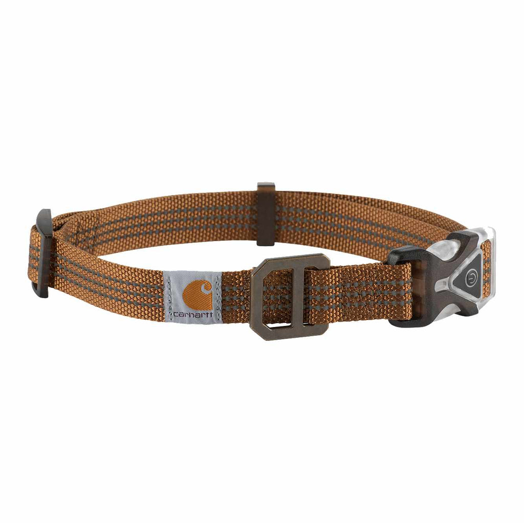 LIGHTED DOG COLLAR #P0000345